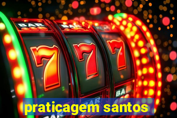 praticagem santos